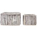 Floristik24 Augalinės dėžutės mediena su žieve natūraliai balta 17/24cm rinkinys iš 2 vnt